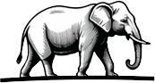 Preloader Logo